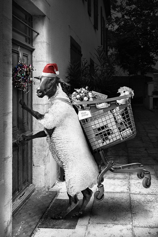 Lecourieux-Bory_M.Mouton_3Le Père Noël n